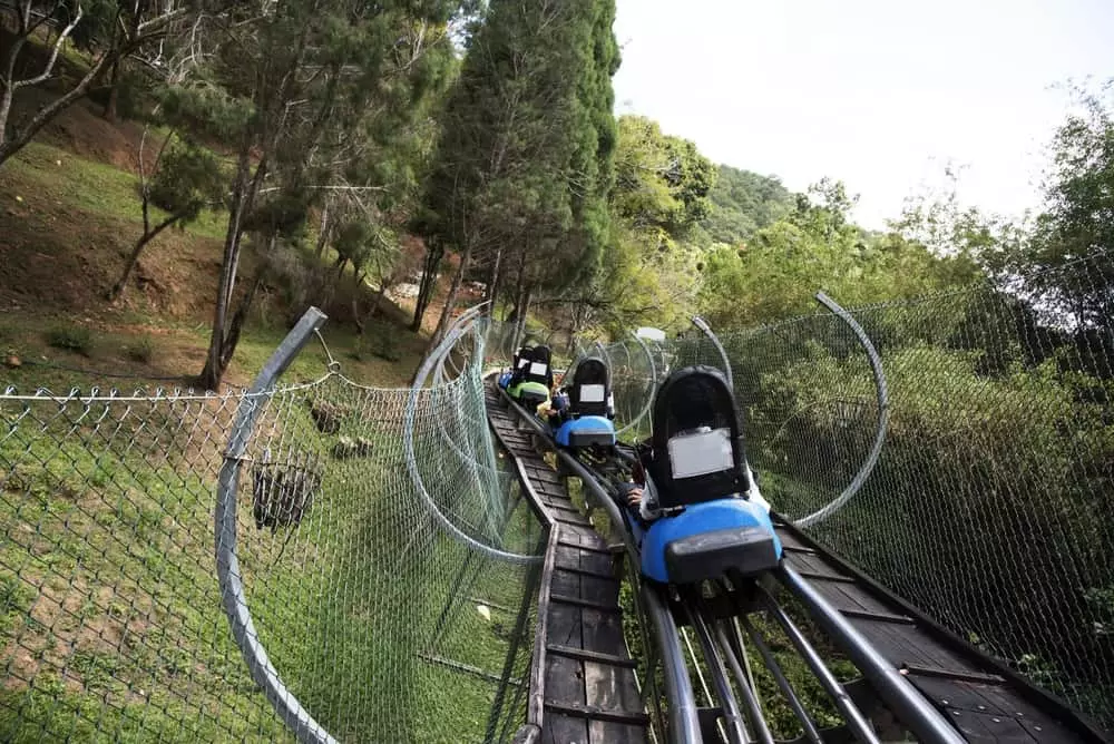 multiple cars on a mountain coaster