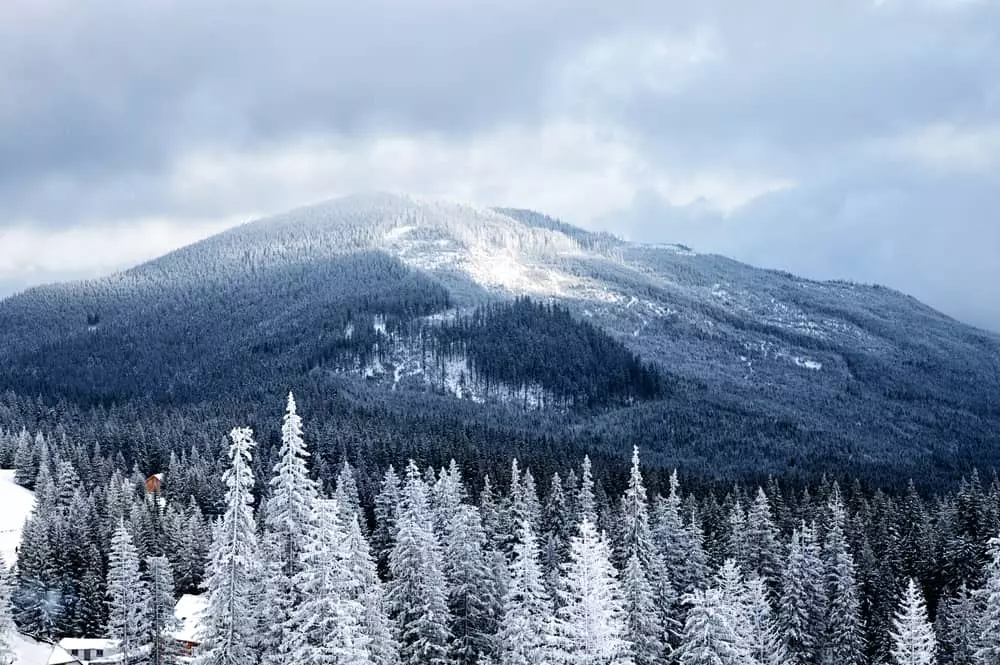 5 Reasons Why You Should Visit the Smoky Mountains in Winter