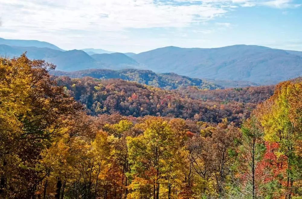 Top 5 Smoky Mountain Tours Where You Can Explore the Smokies with a Guide