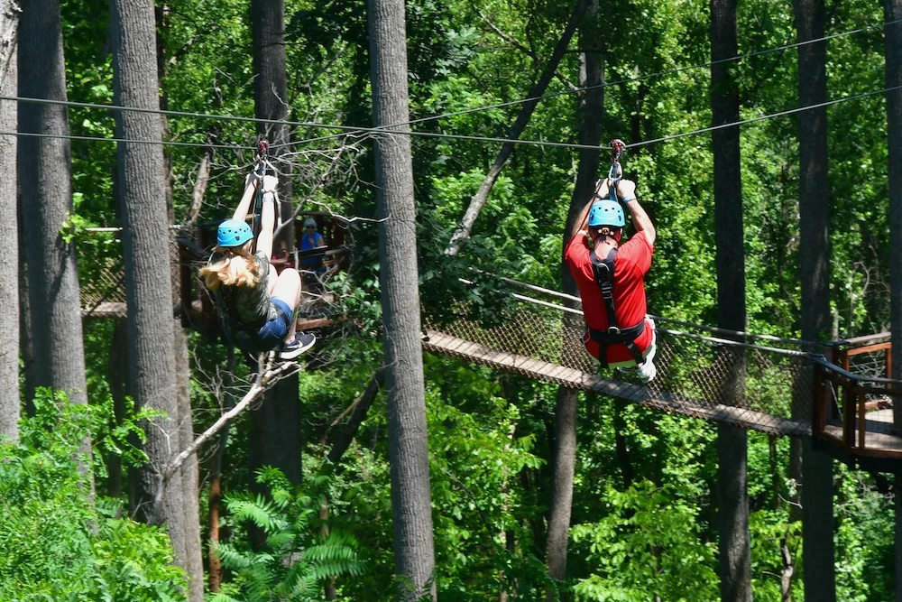 The 4 Best Zipline Tours in the Smoky Mountains
