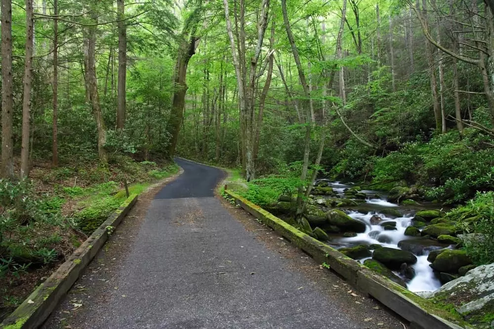 Top 4 Smoky Mountain Scenic Drives You Have to Try