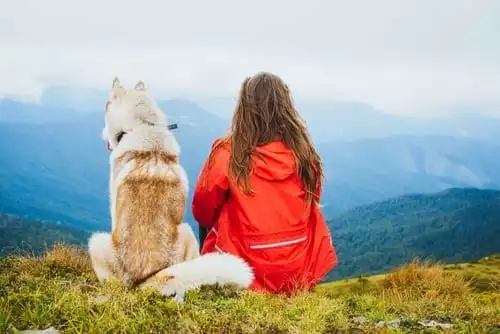 Girl and her dog looking out at the mountain view