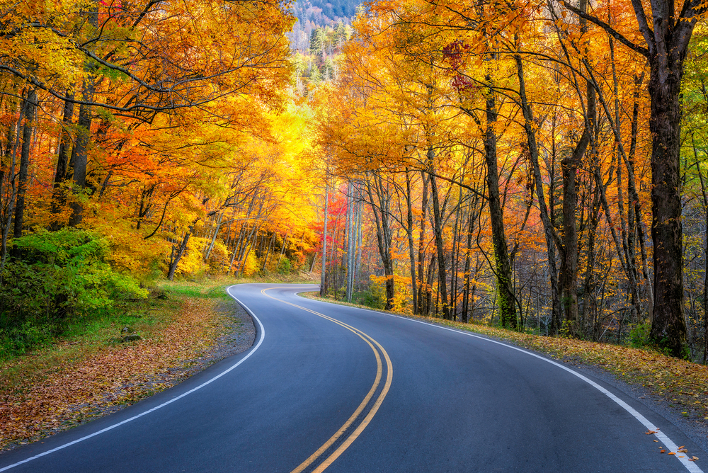 US 441 Reopens: Visit & Save at Our Gatlinburg Hotel This Fall