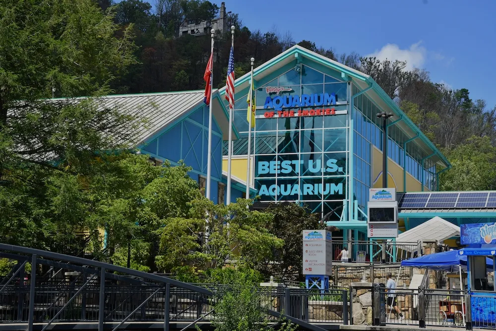 ripleys aquarium of the smokies