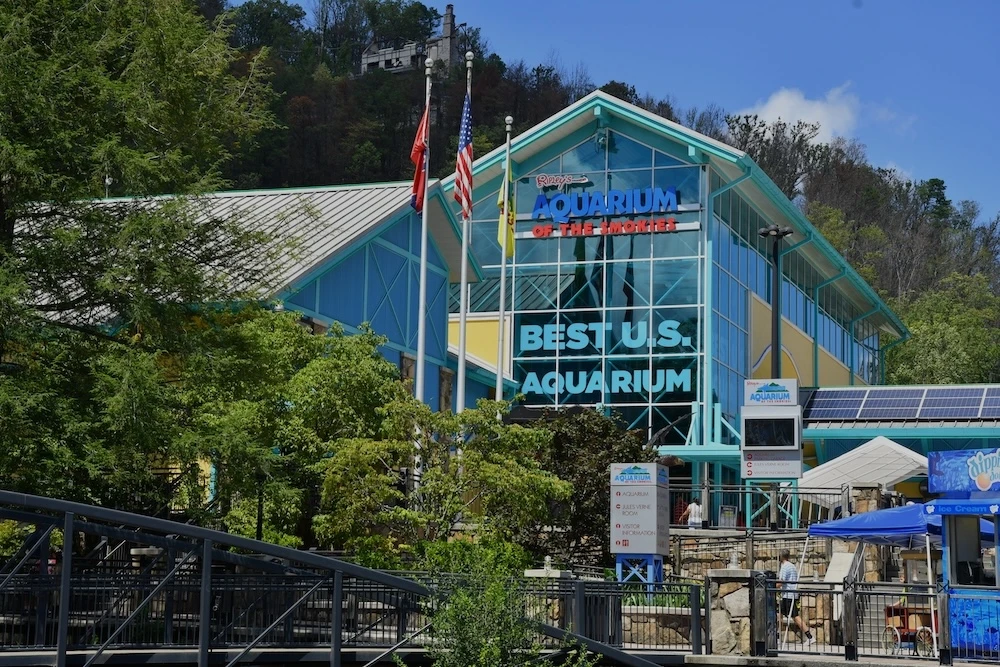 ripleys aquarium is walkable from our pet friendly Gatlinburg hotel