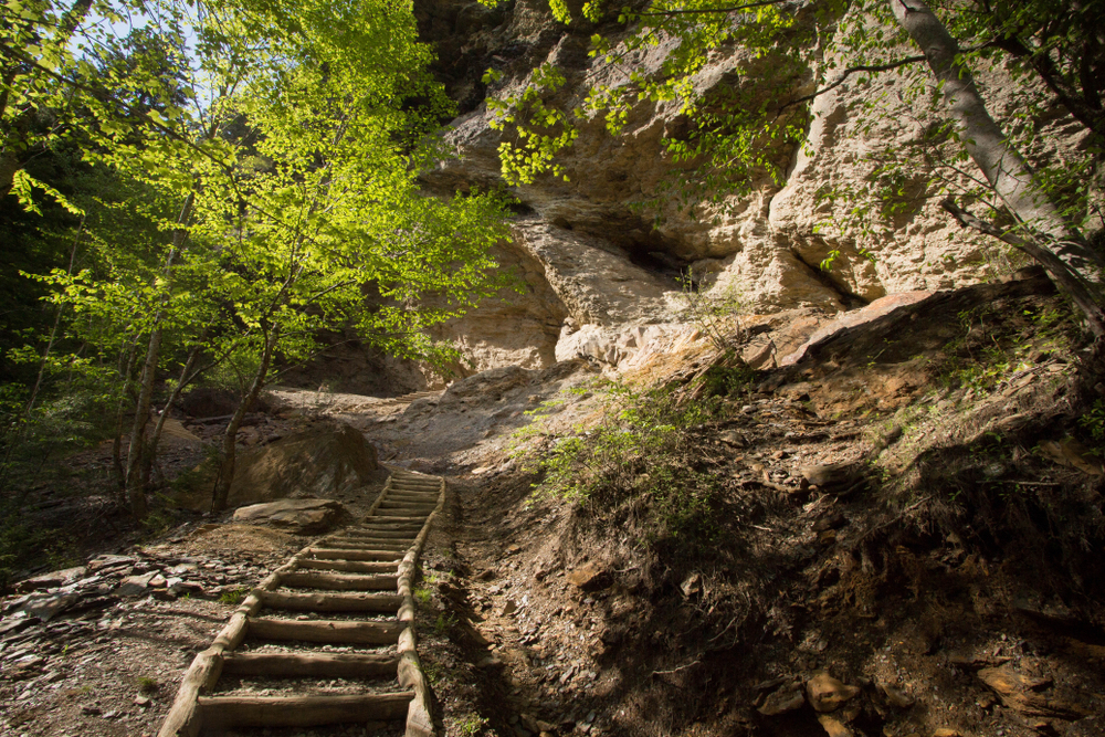 Trail Ready: 7 Tips for Hiking in Gatlinburg & the Smoky Mountains