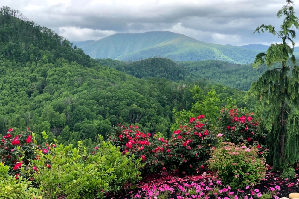 5 Festivals & Events in the Smoky Mountains in Spring