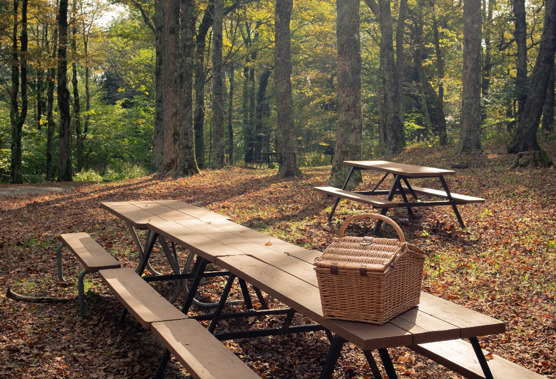 Enjoy Dining Outside at the Top 4 Picnic Areas in Gatlinburg TN
