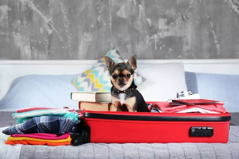 What to Pack for the Smoky Mountains - Sidney James Mountain Lodge in Gatlinburg, TN