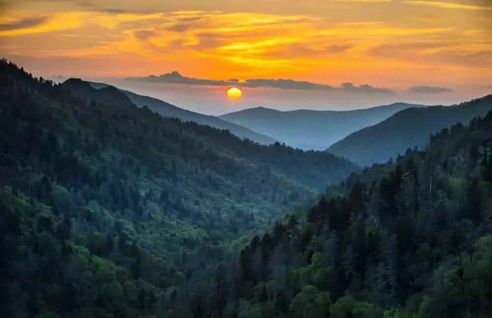 6 Interesting Facts About the Smoky Mountains That Might Surprise You