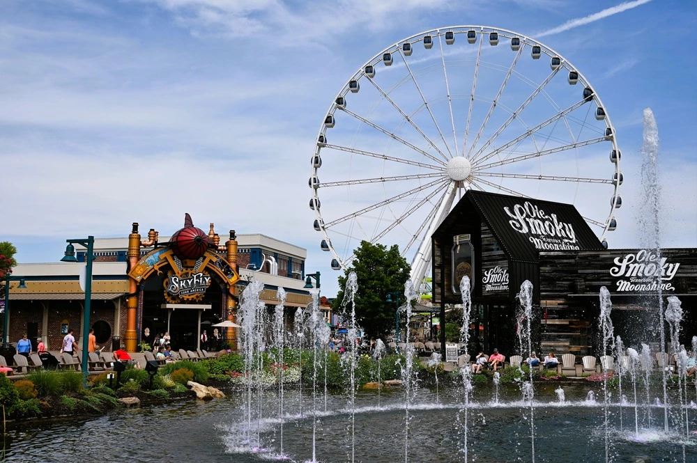 4 Fun Places to Take Your Dog Near Our Pet Friendly Hotel in Gatlinburg