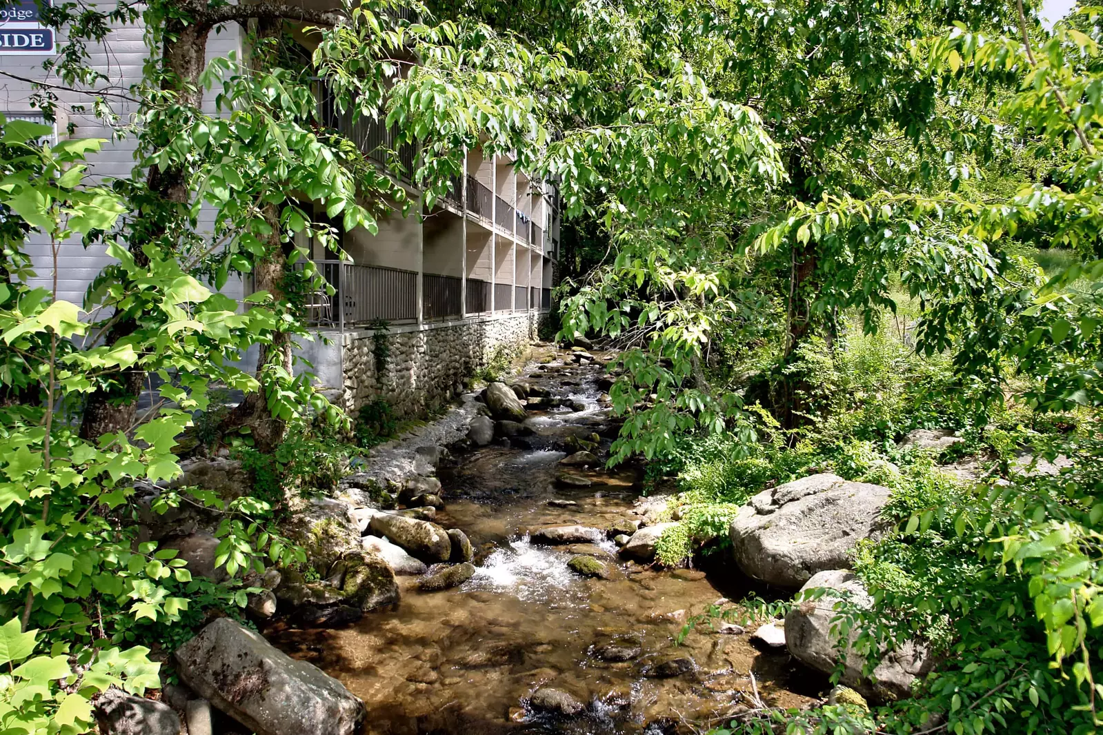 creek running beside Sidney James Mountain Lodge in Gatlinburg