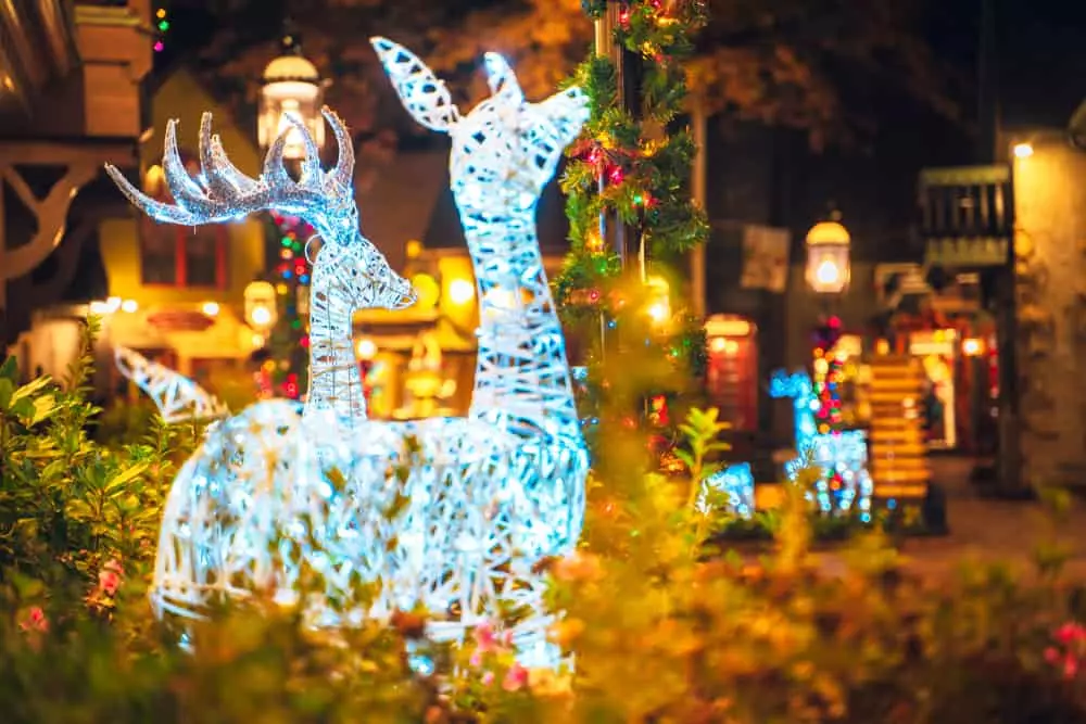 3 Things You’ll Love About Winterfest in Gatlinburg
