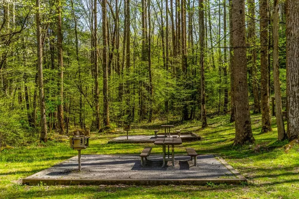 Top 5 Places to Have a Picnic in the Great Smoky Mountains