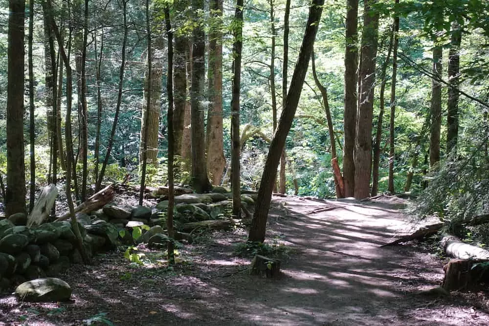 gatlinburg trail - one of the best hikes to take from Sugarlands Visitor Center