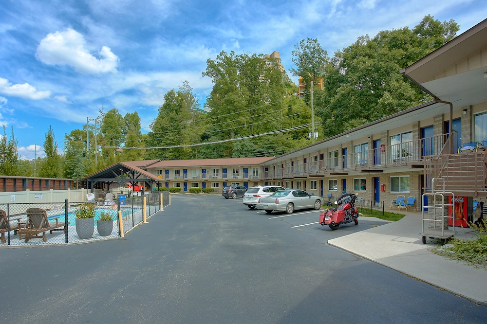 6 Perks of Bringing Your Dog to Our Pet Friendly Hotel in Gatlinburg TN