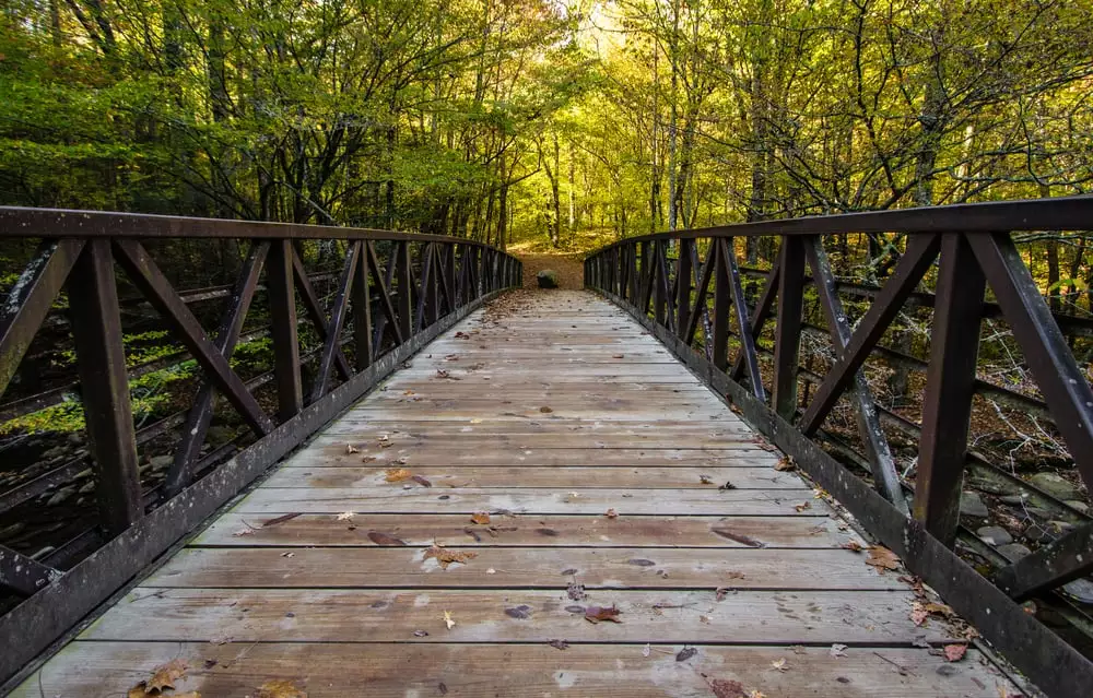 7 of the Best Hikes in the Smoky Mountains for Kids