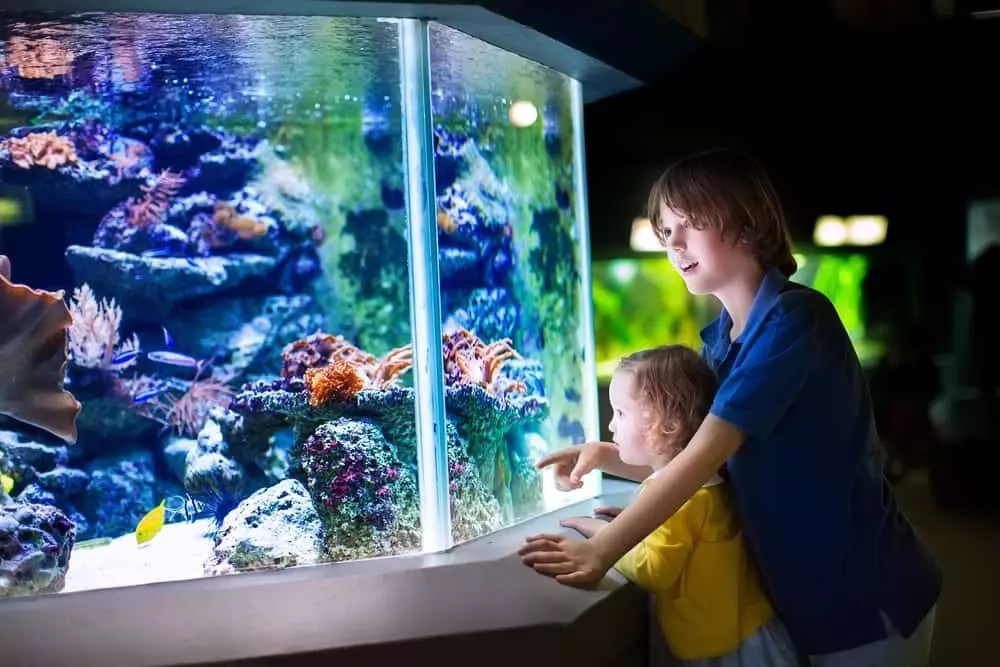 kids at aquarium