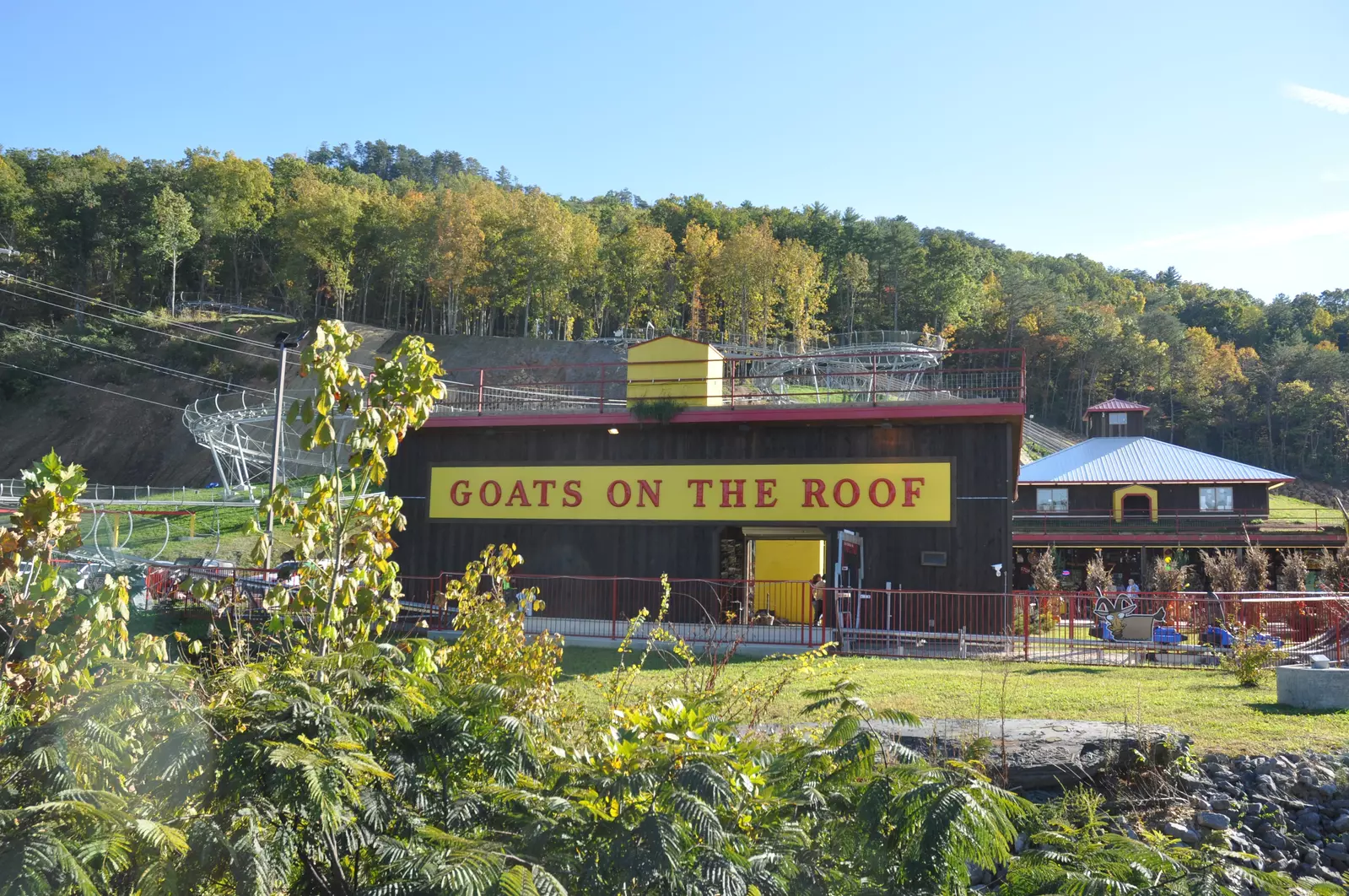 4 Exciting Unique Things to Do in Pigeon Forge
